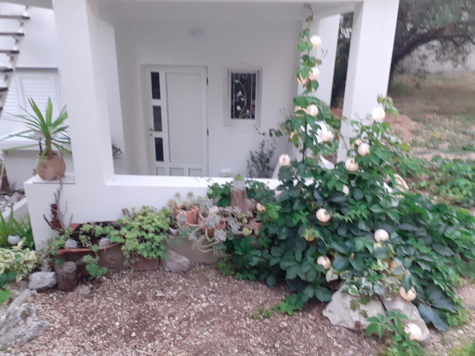 Villa Ana Makarska Bilik gambar